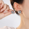 The new S925 silver-needle studded zircon feather pearl stud earrings feature a high-end design and are a light luxury French retro earring accessory Item Picture